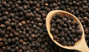 nam châm lọc sắt hồ tiêu